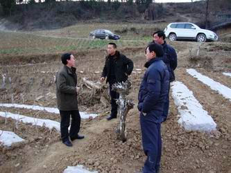 201086154223357.jpg