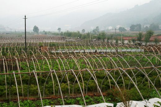 2010101317420689.jpg