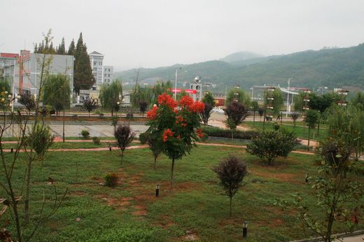 201010131757513.jpg